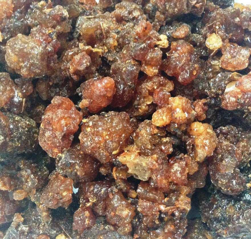 Close-up of natural Middle Eastern gum arabic resin granules