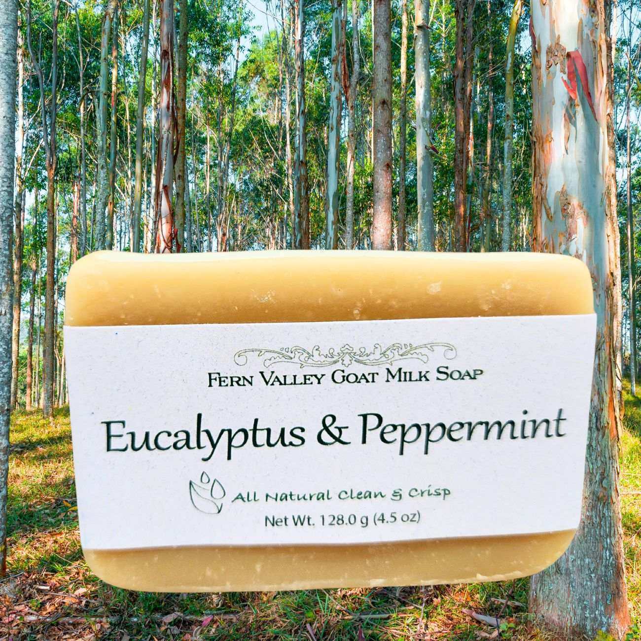 Eucalyptus & Peppermint Goat Milk Soap bar in forest setting, all natural clean crisp