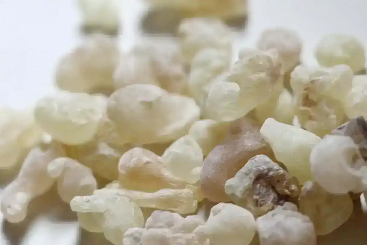 Close-up of natural frankincense resin granules, premium Middle Eastern herb.