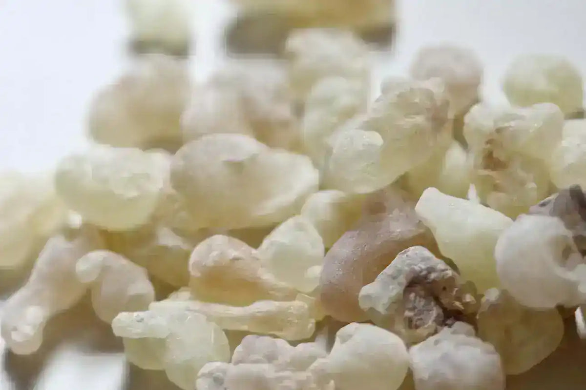 Close-up of natural frankincense resin granules, premium Middle Eastern herb.