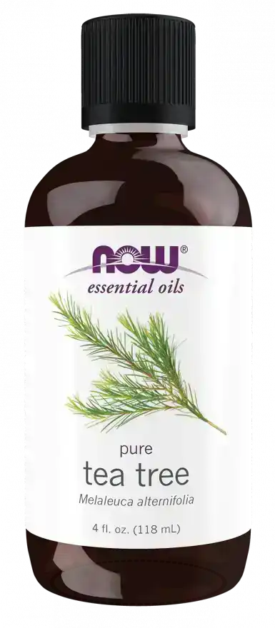 Brown bottle of pure tea tree essential oil with botanical label and black cap