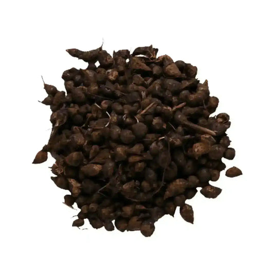 natural-cyperus-rotundus-nut-grass
