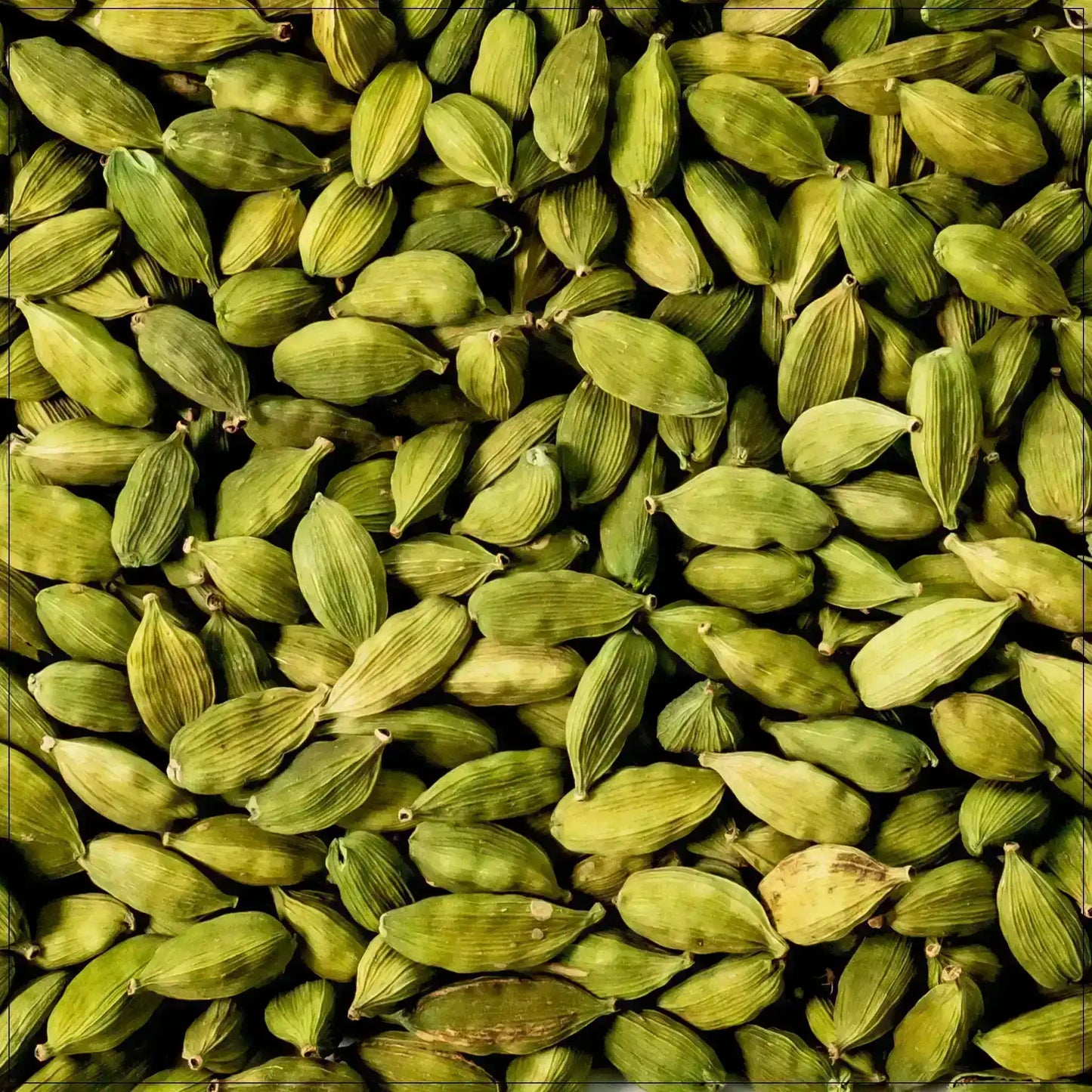 Close-up of raw organic green cardamom pods, aromatic Middle Eastern spice.