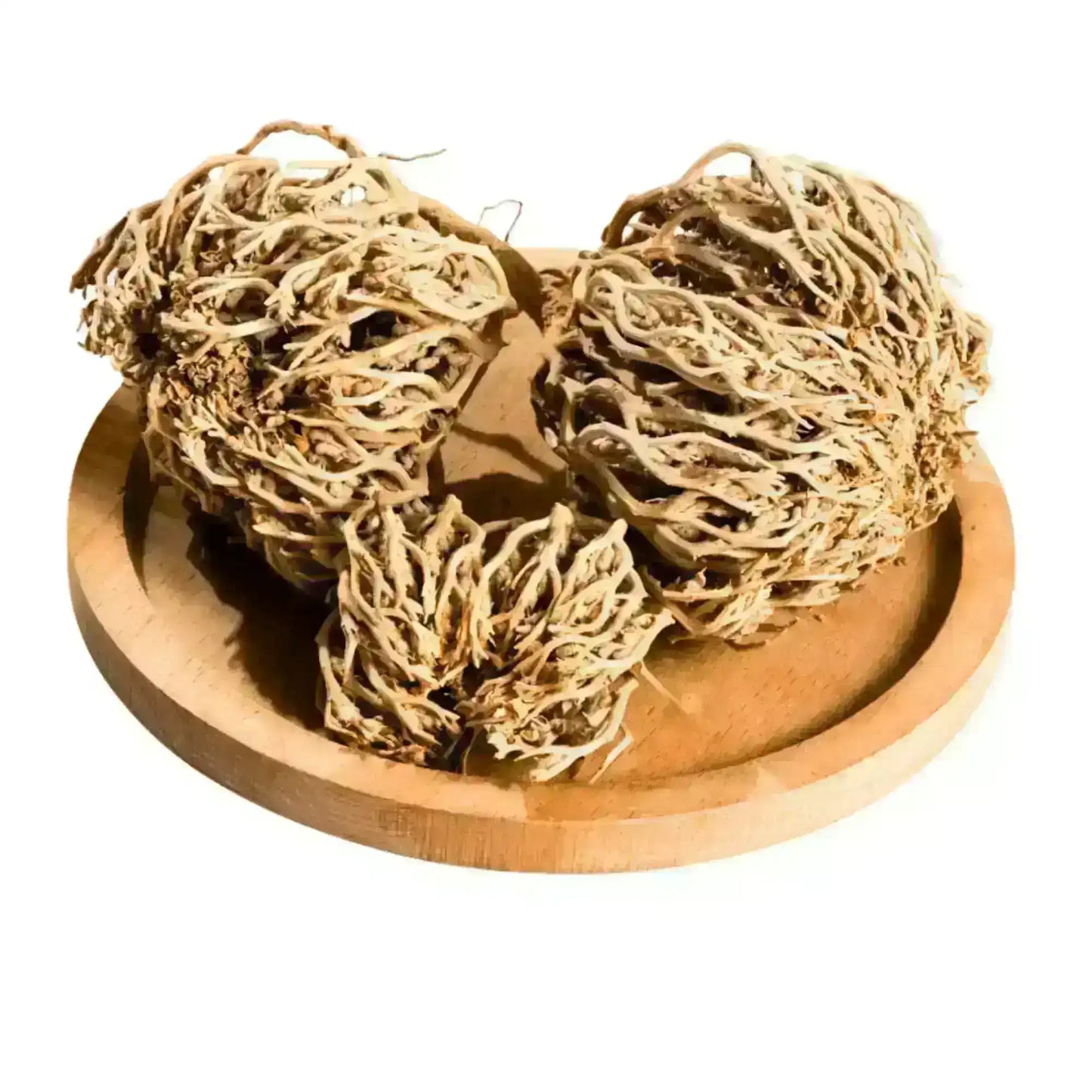 Dried Rose of Jericho resurrection plants displayed on a round wooden plate