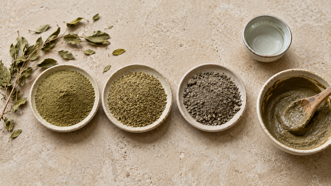 Three dishes comparing Sidr powder quality from fine green-brown to dull khaki and coarse grey, with a bowl of mixed paste