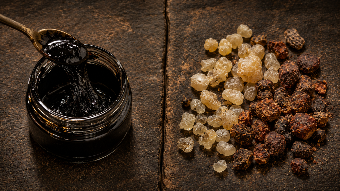 Jar of dark glossy shilajit resin with a spoon lifting a thread beside dry pale frankincense and reddish myrrh resin pieces
