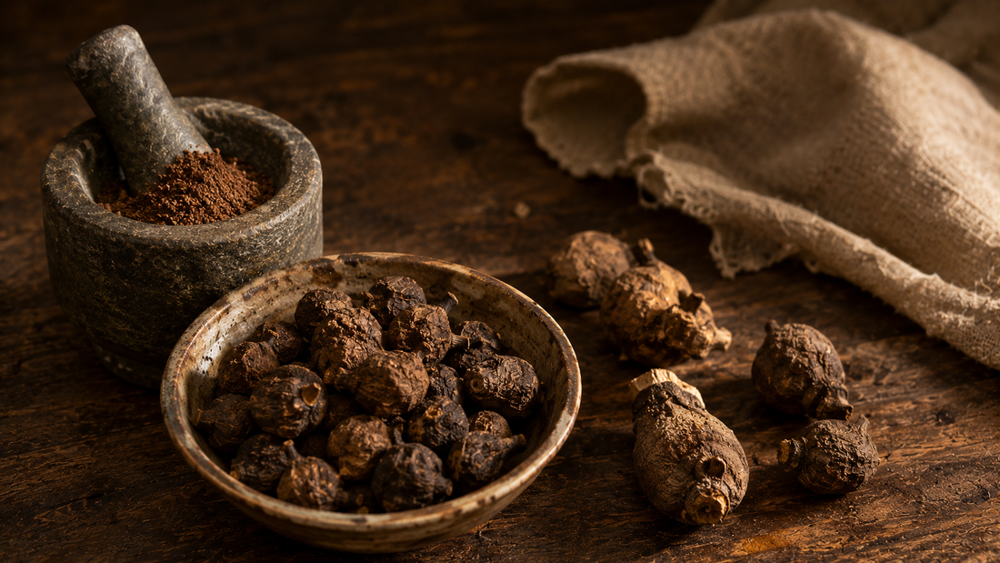 Dark brown dried Cyperus rotundus tubers in a rustic bowl with a stone mortar holding ground powder on aged wood