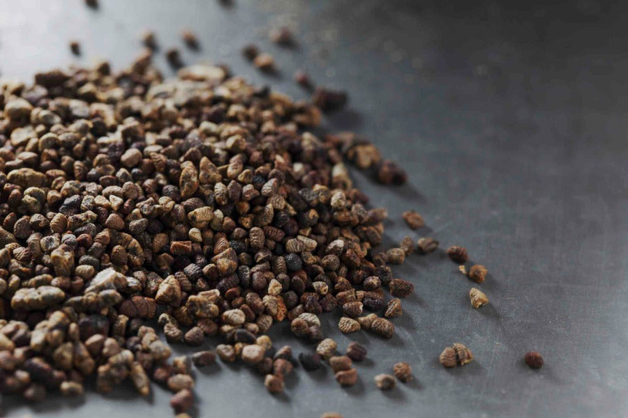 Cardamom Seed