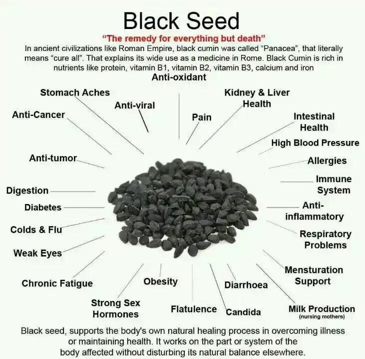 Black seed heap with health benefits text, Middle Eastern natural remedy, black cumin seeds