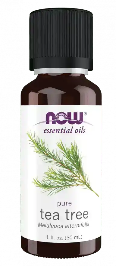Bottle of pure tea tree essential oil with label showing Melaleuca alternifolia illustration