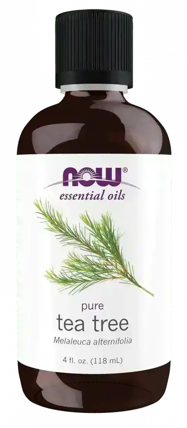 Brown bottle of pure tea tree essential oil with botanical illustration on label