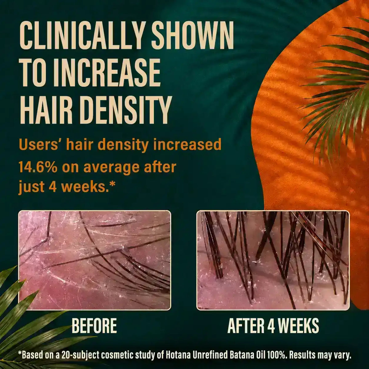 Hotana Unrefined Batana Oil before and after results showing increased hair density after 4 weeks.