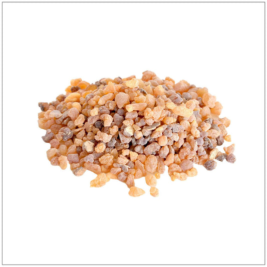 Frankincense olibanum resin granules on a white background, aromatic Middle Eastern spice