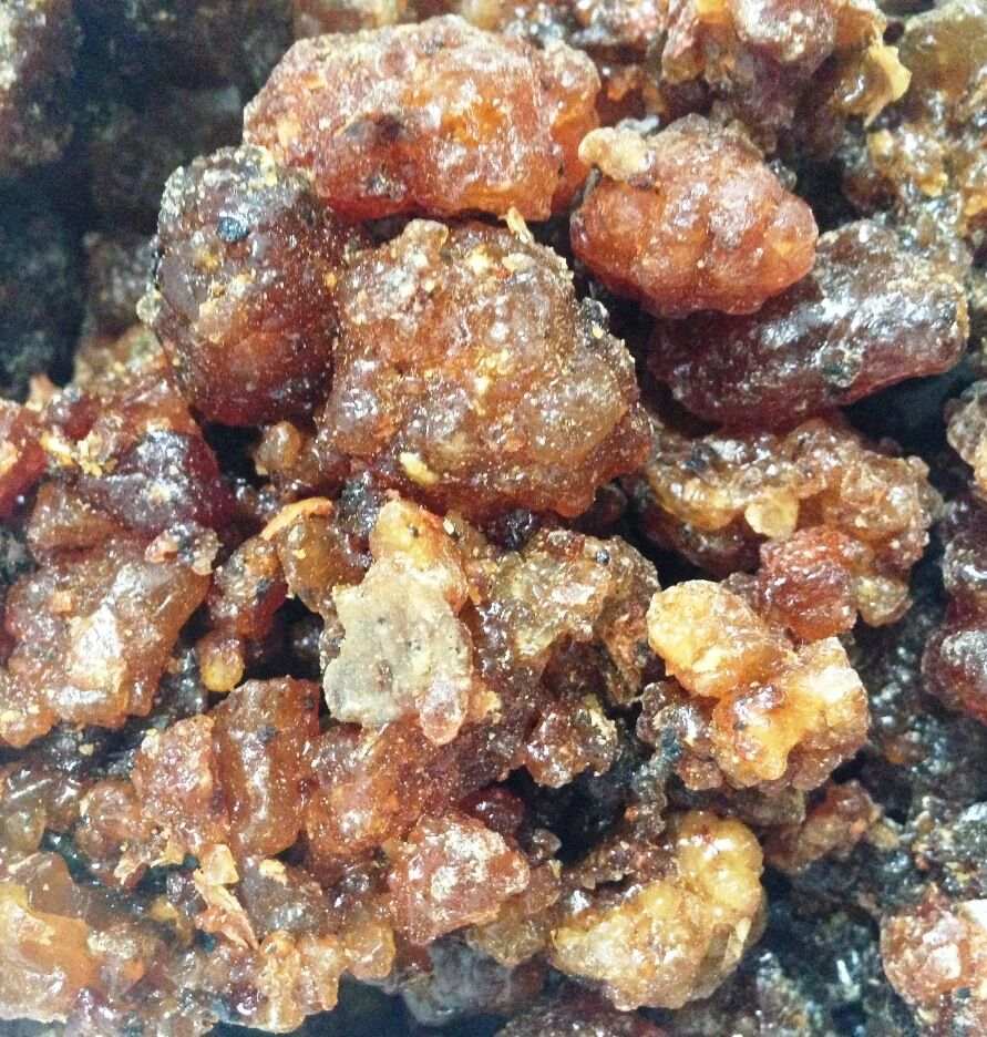 Close-up of Premium Myrrh Resin Al Murrah natural resin from Commiphora Myrrha tree
