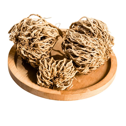 Rose of Jericho – The Miracle Resurrection Plant | Authentic Middle Eastern Quality - MELevant