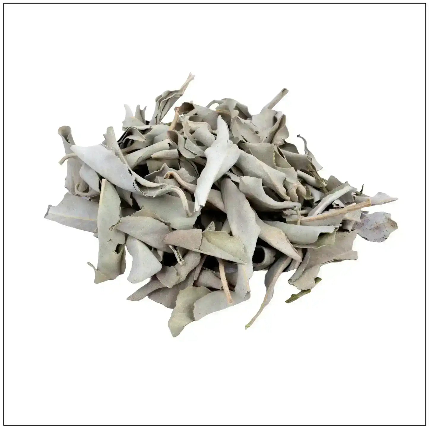 Dried whole white sage leaves pile on white background, premium herbal ingredient