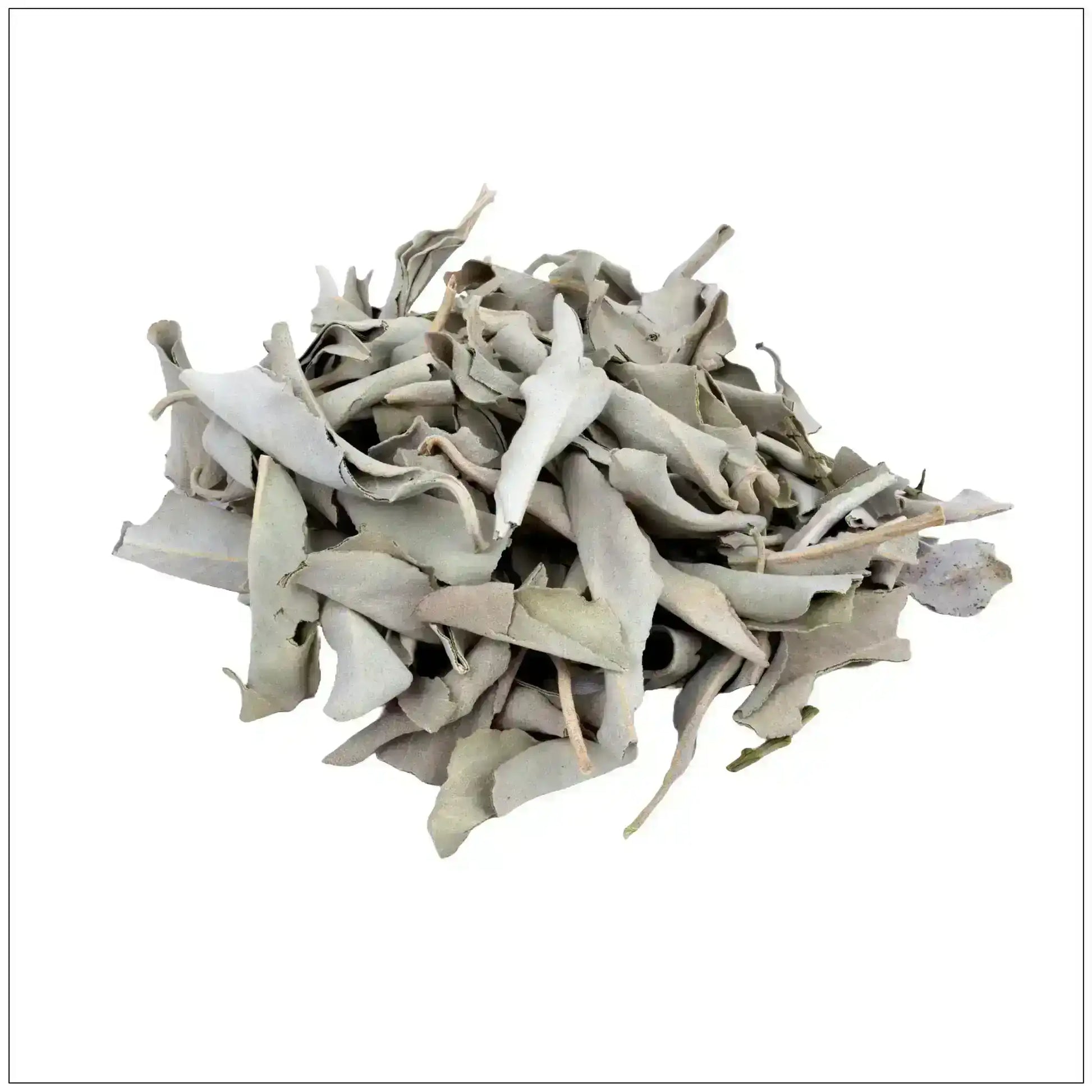 Dried whole white sage leaves pile on white background, premium herbal ingredient